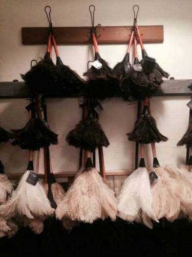 Ostrich feather dusters